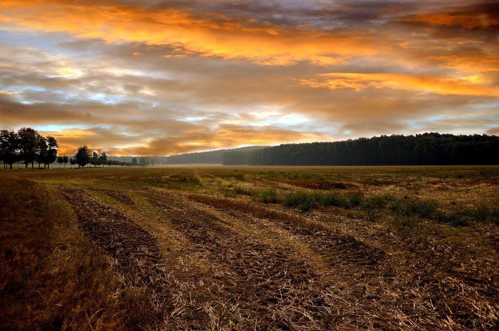 Photo by Peggy Choucair